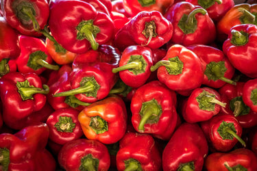 60 RED MARCONI PEPPER Rossa Large Sweet Italian Frying Capsicum Annuum Seeds